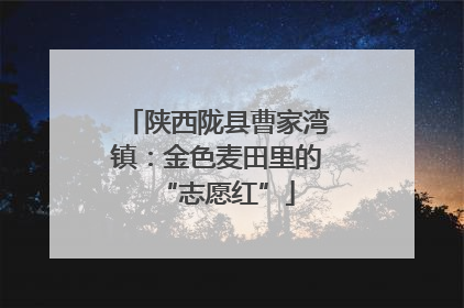 陕西陇县曹家湾镇：金色麦田里的“志愿红”
