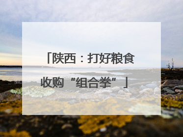 陕西：打好粮食收购“组合拳”