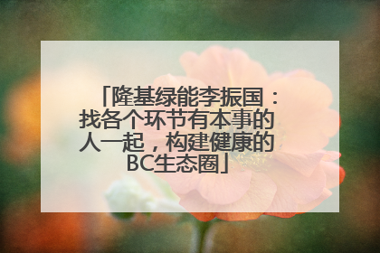 隆基绿能李振国：找各个环节有本事的人一起，构建健康的BC生态圈