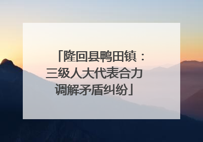 隆回县鸭田镇：三级人大代表合力调解矛盾纠纷