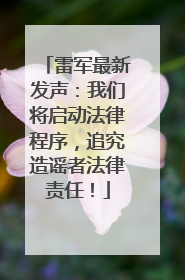 雷军最新发声：我们将启动法律程序，追究造谣者法律责任！
