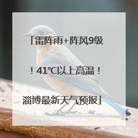 雷阵雨+阵风9级！41℃以上高温！淄博最新天气预报