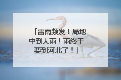 雷雨频发！局地中到大雨！雨终于要到河北了！