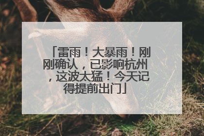 雷雨！大暴雨！刚刚确认，已影响杭州，这波太猛！今天记得提前出门