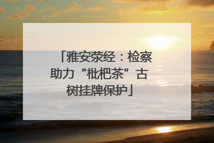 雅安荥经：检察助力“枇杷茶”古树挂牌保护