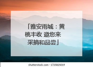 雅安雨城：黄桃丰收 邀您来采摘和品尝
