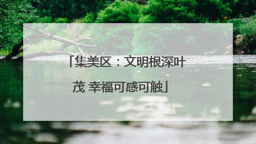 集美区：文明根深叶茂 幸福可感可触