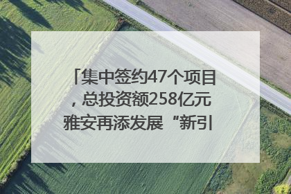 集中签约47个项目，总投资额258亿元 雅安再添发展“新引擎”｜数读西投