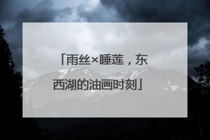 雨丝×睡莲，东西湖的油画时刻