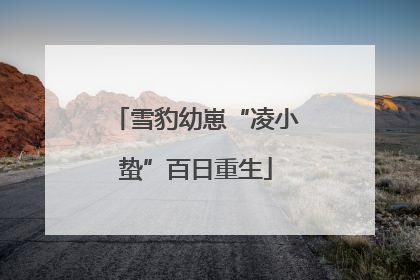 雪豹幼崽“凌小蛰”百日重生