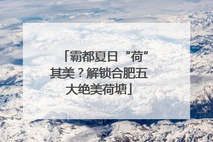 霸都夏日“荷”其美？解锁合肥五大绝美荷塘