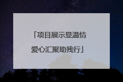 项目展示显温情 爱心汇聚助残行