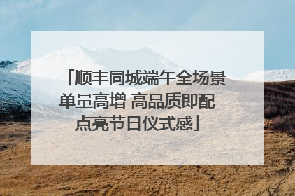顺丰同城端午全场景单量高增 高品质即配点亮节日仪式感