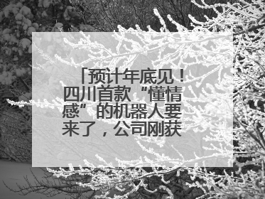 预计年底见！四川首款“懂情感”的机器人要来了，公司刚获数千万元融资