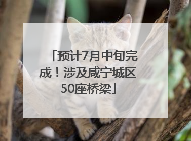 预计7月中旬完成！涉及咸宁城区50座桥梁