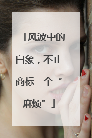 风波中的白象，不止商标一个“麻烦”