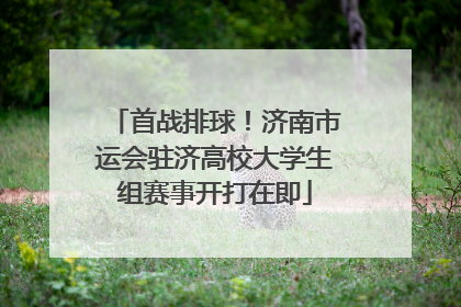 首战排球！济南市运会驻济高校大学生组赛事开打在即
