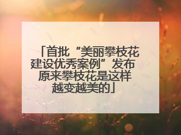 首批“美丽攀枝花建设优秀案例”发布 原来攀枝花是这样越变越美的