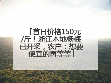 首日价格150元/斤！浙江本地杨梅已开采，农户：想要便宜的再等等