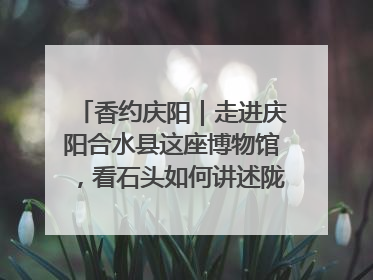 香约庆阳｜走进庆阳合水县这座博物馆，看石头如何讲述陇东千年历史