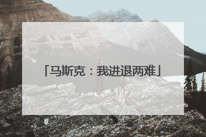 马斯克：我进退两难