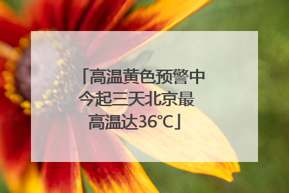 高温黄色预警中 今起三天北京最高温达36℃