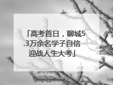 高考首日，聊城5.3万余名学子自信迎战人生大考
