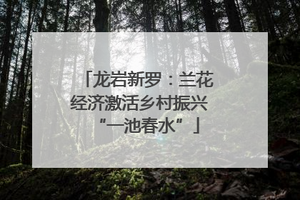 龙岩新罗：兰花经济激活乡村振兴“一池春水”