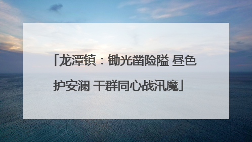 龙潭镇：锄光凿险隘 昼色护安澜 干群同心战汛魔