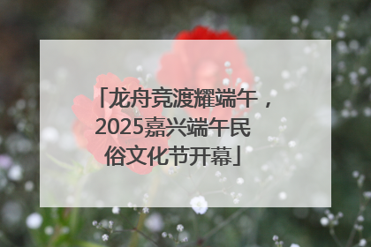 龙舟竞渡耀端午，2025嘉兴端午民俗文化节开幕