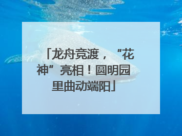 龙舟竞渡，“花神”亮相！圆明园里曲动端阳