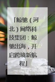 鲸驰（河北）网络科技集团：鲸驰出海，开启跨境新航程