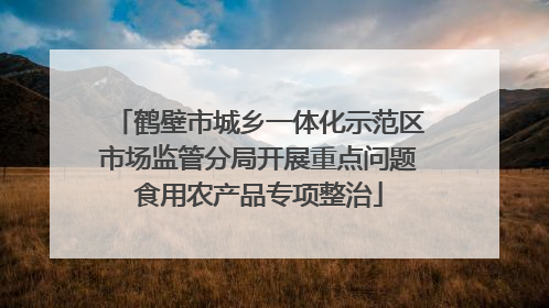 鹤壁市城乡一体化示范区市场监管分局开展重点问题食用农产品专项整治