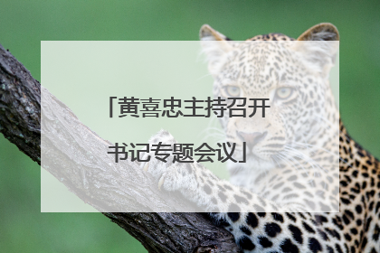 黄喜忠主持召开书记专题会议