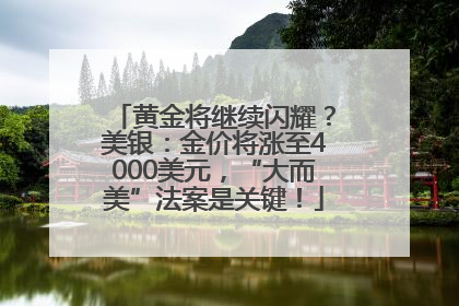 黄金将继续闪耀？美银：金价将涨至4000美元，“大而美”法案是关键！