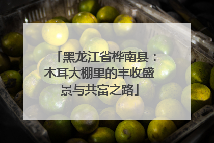 黑龙江省桦南县：木耳大棚里的丰收盛景与共富之路