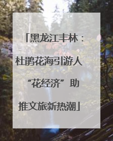 黑龙江丰林：杜鹃花海引游人 “花经济”助推文旅新热潮