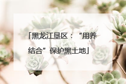 黑龙江垦区：“用养结合”保护黑土地