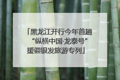 黑龙江开行今年首趟“纵横中国·龙泰号”援疆银发旅游专列
