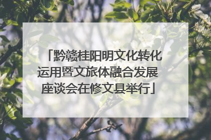 黔赣桂阳明文化转化运用暨文旅体融合发展座谈会在修文县举行