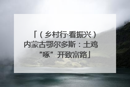 （乡村行·看振兴）内蒙古鄂尔多斯：土鸡“啄”开致富路