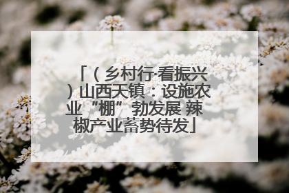 （乡村行·看振兴）山西天镇：设施农业“棚”勃发展 辣椒产业蓄势待发
