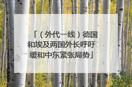 （外代一线）德国和埃及两国外长呼吁缓和中东紧张局势