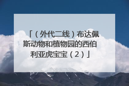 （外代二线）布达佩斯动物和植物园的西伯利亚虎宝宝（2）