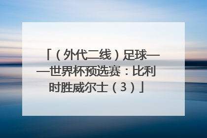 （外代二线）足球——世界杯预选赛：比利时胜威尔士（3）