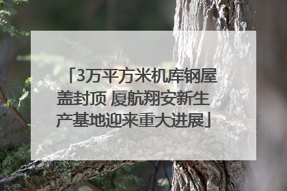 3万平方米机库钢屋盖封顶 厦航翔安新生产基地迎来重大进展