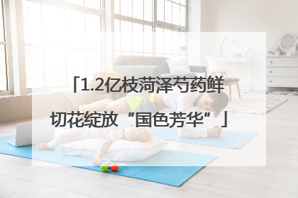1.2亿枝菏泽芍药鲜切花绽放“国色芳华”