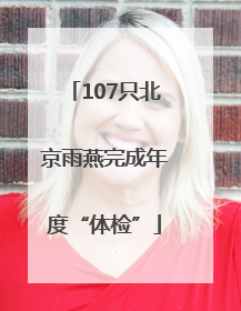 107只北京雨燕完成年度“体检”