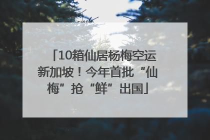 10箱仙居杨梅空运新加坡！今年首批“仙梅”抢“鲜”出国