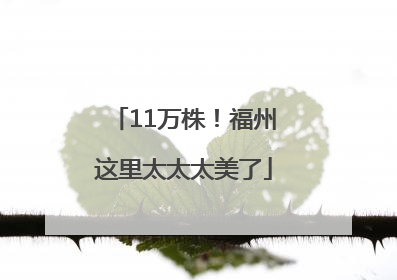 11万株！福州这里太太太美了